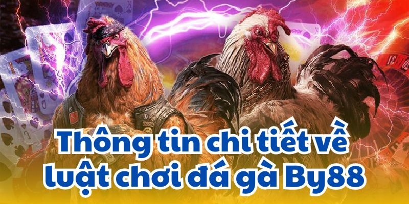 Thông tin chi tiết về luật chơi đá gà By88